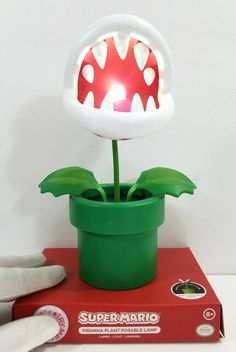 a green potted plant sitting on top of a red box with a white light in it