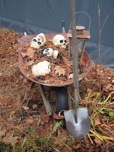 a wheelbarrow with skulls and a shovel in it on the ground next to some dead plants