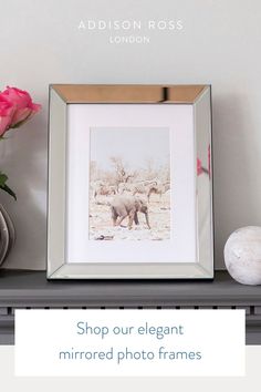 an elephant is shown in a frame on a shelf next to some flowers and rocks