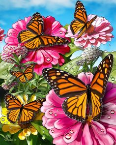 three butterflies flying over pink flowers with drops of water on the petals and blue sky in the background