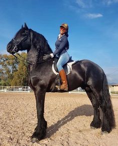 a woman riding on the back of a black horse