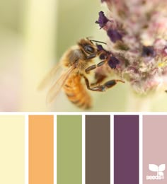 a bee sitting on top of a purple flower next to a green and yellow color palette