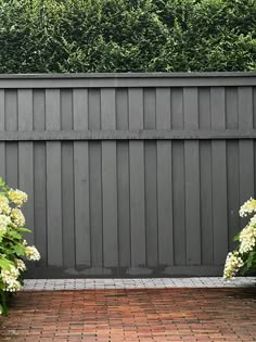 two white flowers are in front of a gray fence and some bushes on the other side