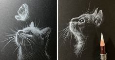 a pencil drawing of a cat with a butterfly on it's head and another image of a cat