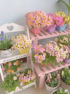 several potted flowers are sitting on shelves in the corner, one is pink and yellow