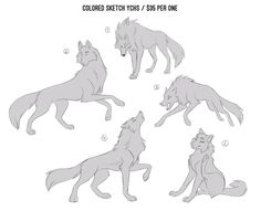 an image of wolfs in different poses