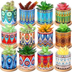 there are many different colored pots with plants in them on the same pot as each other