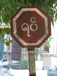 a red stop sign sitting on the side of a road next to a lush green tree