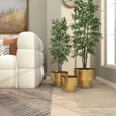 a living room filled with furniture and a plant