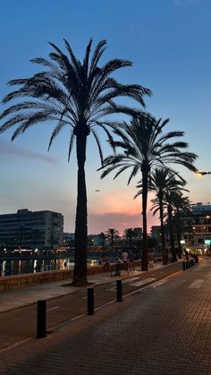 two palm trees on the side of a road at dusk with buildings in the background