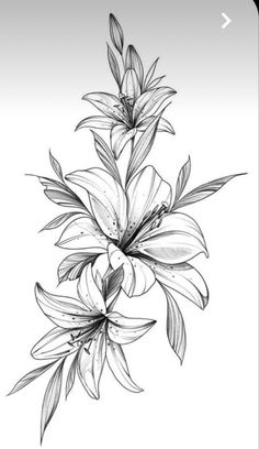 a black and white drawing of some flowers