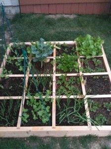 the garden is ready to be planted