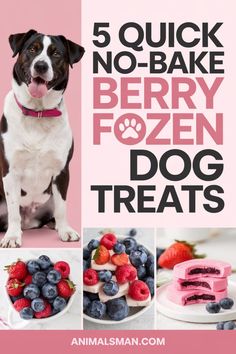 the cover of 5 quick no bake berry fozen dog treats