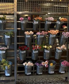 several metal buckets filled with flowers on display