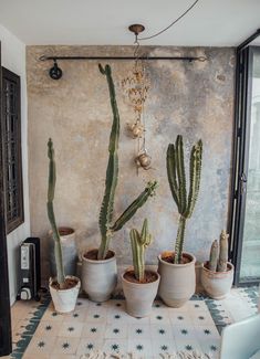 there are many cactus in the pots on the floor next to each other and one is hanging from the ceiling