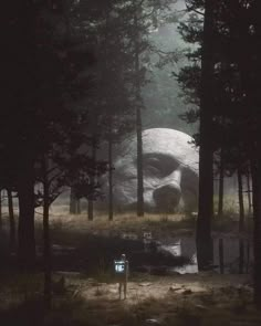 a large rock in the middle of a forest with trees around it and a person standing next to it