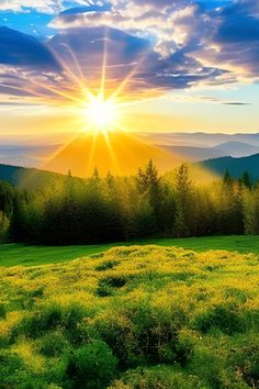 the sun is setting over a grassy field with trees in the foreground and mountains in the background