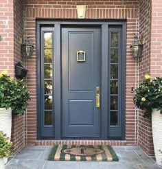 a blue front door with two potted plants on the side and an entry mat