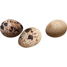 three quails and an egg on a white background