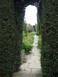 a stone walkway between two tall green hedges