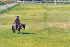 a man riding on the back of a brown horse across a lush green field next to a white fence