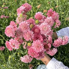 a person holding pink flowers in their hand on the ground with grass and plants behind them