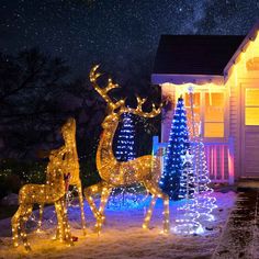 christmas lights are lit up in front of a house with reindeers and trees on the lawn