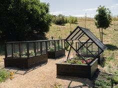 three wooden planters with plants growing in them on a dirt path next to trees