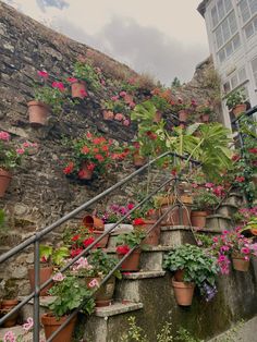 many potted plants are growing on the side of an old stone wall and stairs