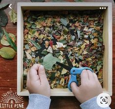 someone using scissors to cut leaves out of a box