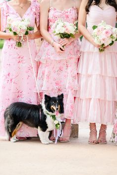 the bridesmaids are wearing pink dresses and their dog is tied to her leash