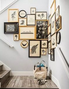 a bunch of framed pictures are hanging on the wall above a stair case with a handbag and purse