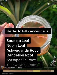 Soursop Benefits, Raw Vegan Meals, Fertility Nutrition, Apothecary Products, Advice For Life, Fruit Smoothie Recipes Healthy, Homemade Stuff, Natural Alternatives, Home Health Remedies