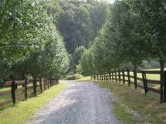 a dirt road surrounded by trees next to a wooden fence and green grass covered field