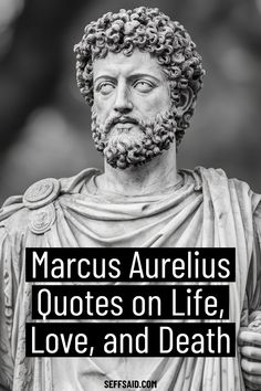 86 powerful quotes by Marcus Aurelius, the famous Roman Emperor and Stoic Philosopher. via @SeffSaid Aurelius Quotes, Marcus Aurelius Quotes, The Best Revenge, Roman Emperor, Quotes On Life, Love Only, Marcus Aurelius, Best Answer