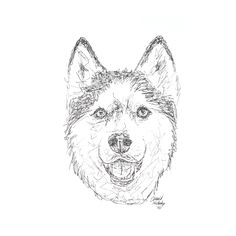 a black and white drawing of a dog's face