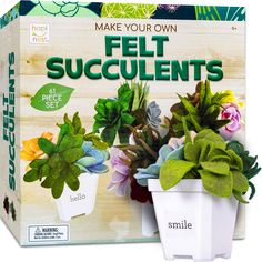 make your own felt succulents in a white pot with green leaves and flowers