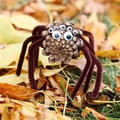 a spider made out of pine cones with googly eyes