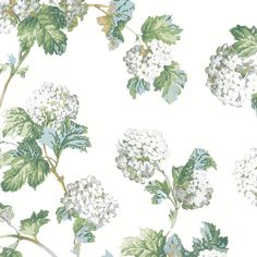 white flowers and green leaves on a white wallpaper background, with blue berries in the foreground