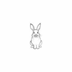 a black and white drawing of a rabbit