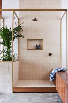 a bathroom with a shower, toilet and plant in the corner on the counter top