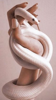 a woman with pink nail polish holding a white snake