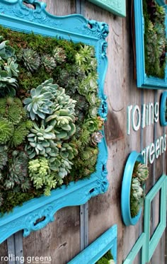 a wall covered in green plants next to a blue frame