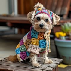 a small dog wearing a multicolored crocheted sweater on top of a wooden bench