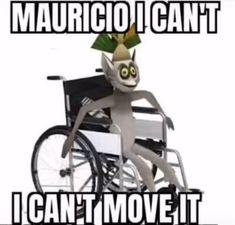 a cartoon cat in a wheelchair with caption that reads, i can't move it