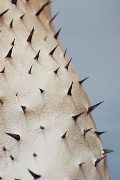 spikes on the side of a building with blue skies in the backgrouds