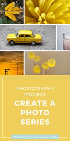 yellow flowers and the words photography project create a photo series