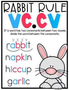 the rabbit is sitting in front of a poster that says rabbit rules vccv