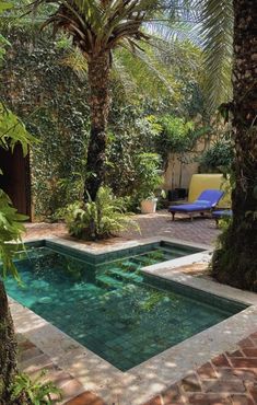 an outdoor swimming pool surrounded by trees and plants