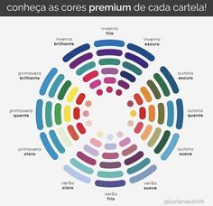 the color wheel with different colors and words on it, all labeled in various languages